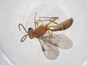  ( - CBG-A69651-E10)  @11 [ ] CreativeCommons - Attribution Share - Alike (2025) Centre for Biodiversity Genomics Centre for Biodiversity Genomics