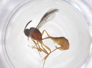  ( - CBG-A69678-H05)  @11 [ ] CreativeCommons - Attribution Share - Alike (2025) Centre for Biodiversity Genomics Centre for Biodiversity Genomics