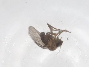  ( - CBG-A69812-C02)  @11 [ ] CreativeCommons - Attribution Share - Alike (2025) Centre for Biodiversity Genomics Centre for Biodiversity Genomics