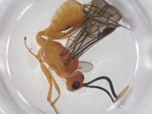  ( - CBG-A69863-F08)  @11 [ ] CreativeCommons - Attribution Share - Alike (2025) Centre for Biodiversity Genomics Centre for Biodiversity Genomics