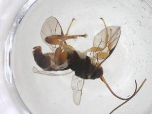  ( - CBG-A69865-A08)  @11 [ ] CreativeCommons - Attribution Share - Alike (2025) Centre for Biodiversity Genomics Centre for Biodiversity Genomics