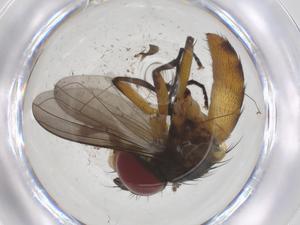  ( - CBG-A69940-E02)  @11 [ ] CreativeCommons - Attribution Share - Alike (2025) Centre for Biodiversity Genomics Centre for Biodiversity Genomics