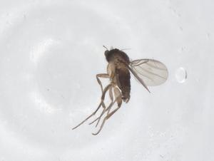  ( - CBG-A70074-D10)  @11 [ ] CreativeCommons - Attribution Share - Alike (2025) Centre for Biodiversity Genomics Centre for Biodiversity Genomics