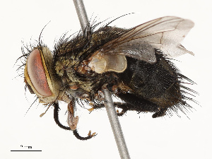  ( - CBG-A67839-F01)  @11 [ ] CreativeCommons - Attribution Share - Alike (2025) CBG Photography Group Centre for Biodiversity Genomics