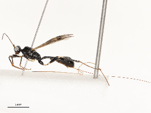  ( - CBG-A69622-E03)  @11 [ ] CreativeCommons - Attribution Share - Alike (2025) CBG Photography Group Centre for Biodiversity Genomics