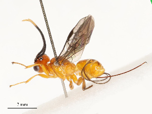  ( - CBG-A69623-F03)  @11 [ ] CreativeCommons - Attribution Share - Alike (2025) CBG Photography Group Centre for Biodiversity Genomics