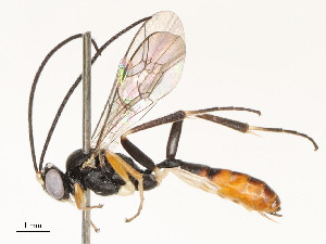  ( - CBG-A69630-H10)  @11 [ ] CreativeCommons - Attribution Share - Alike (2025) CBG Photography Group Centre for Biodiversity Genomics