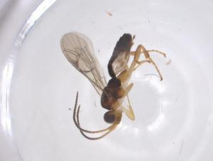  ( - CBG-A69725-D02)  @11 [ ] CreativeCommons - Attribution Share - Alike (2025) Centre for Biodiversity Genomics Centre for Biodiversity Genomics