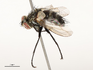  ( - CBG-A69631-F12)  @11 [ ] CreativeCommons - Attribution Share - Alike (2025) CBG Photography Group Centre for Biodiversity Genomics