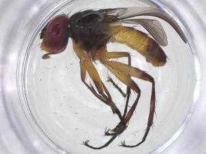  ( - CBG-A70167-H10)  @11 [ ] CreativeCommons - Attribution Share - Alike (2025) Centre for Biodiversity Genomics Centre for Biodiversity Genomics