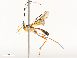  ( - CBG-A72921-E12)  @11 [ ] CreativeCommons - Attribution Share - Alike (2025) CBG Photography Group Centre for Biodiversity Genomics