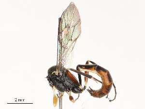  ( - CBG-B12447-C05)  @11 [ ] CreativeCommons - Attribution Share - Alike (2025) CBG Photography Group Centre for Biodiversity Genomics
