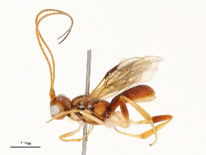  ( - CBG-B12669-F12)  @11 [ ] CreativeCommons - Attribution Share - Alike (2025) CBG Photography Group Centre for Biodiversity Genomics