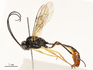  ( - CBG-B12674-E09)  @11 [ ] CreativeCommons - Attribution Share - Alike (2025) CBG Photography Group Centre for Biodiversity Genomics