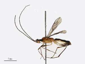  ( - CBG-B12675-C09)  @11 [ ] CreativeCommons - Attribution Share - Alike (2025) CBG Photography Group Centre for Biodiversity Genomics