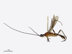  ( - CBG-B12675-C10)  @11 [ ] CreativeCommons - Attribution Share - Alike (2025) CBG Photography Group Centre for Biodiversity Genomics