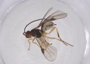  ( - CBG-B13219-E11)  @11 [ ] CreativeCommons - Attribution Share - Alike (2025) Centre for Biodiversity Genomics Centre for Biodiversity Genomics