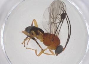  ( - CBG-B13708-C06)  @11 [ ] CreativeCommons - Attribution Share - Alike (2025) Centre for Biodiversity Genomics Centre for Biodiversity Genomics