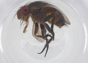  ( - CBG-B13714-C02)  @11 [ ] CreativeCommons - Attribution Share - Alike (2025) Centre for Biodiversity Genomics Centre for Biodiversity Genomics