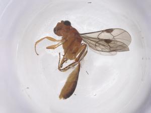  ( - CBG-B13721-A12)  @11 [ ] CreativeCommons - Attribution Share - Alike (2025) Centre for Biodiversity Genomics Centre for Biodiversity Genomics