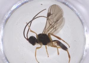  ( - CBG-B13755-E05)  @11 [ ] CreativeCommons - Attribution Share - Alike (2025) Centre for Biodiversity Genomics Centre for Biodiversity Genomics