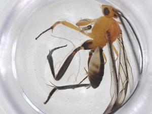  ( - CBG-B13762-E11)  @11 [ ] CreativeCommons - Attribution Share - Alike (2025) Centre for Biodiversity Genomics Centre for Biodiversity Genomics