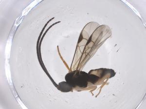  ( - CBG-B13959-E05)  @11 [ ] CreativeCommons - Attribution Share - Alike (2025) Centre for Biodiversity Genomics Centre for Biodiversity Genomics