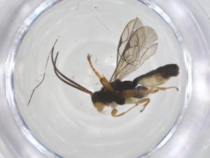  ( - CBG-B14050-E04)  @11 [ ] CreativeCommons - Attribution Share - Alike (2025) Centre for Biodiversity Genomics Centre for Biodiversity Genomics