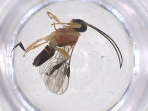  ( - CBG-B14449-F08)  @11 [ ] CreativeCommons - Attribution Share - Alike (2025) Centre for Biodiversity Genomics Centre for Biodiversity Genomics