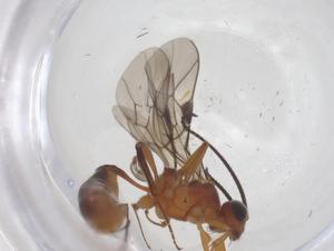  ( - CBG-B14475-D10)  @11 [ ] CreativeCommons - Attribution Share - Alike (2025) Centre for Biodiversity Genomics Centre for Biodiversity Genomics