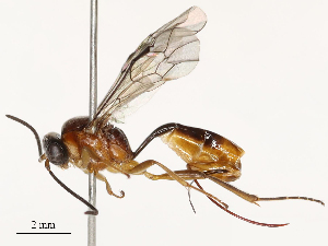  ( - CBG-B15175-A06)  @11 [ ] CreativeCommons - Attribution Share - Alike (2025) CBG Photography Group Centre for Biodiversity Genomics