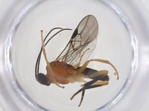  ( - CBG-B16738-D03)  @11 [ ] CreativeCommons - Attribution Share - Alike (2025) Centre for Biodiversity Genomics Centre for Biodiversity Genomics