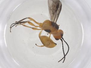  ( - CBG-B16942-B07)  @11 [ ] CreativeCommons - Attribution Share - Alike (2025) Centre for Biodiversity Genomics Centre for Biodiversity Genomics