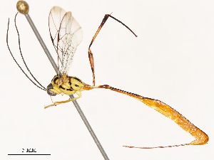  ( - CBG-B11792-H07)  @11 [ ] CreativeCommons - Attribution Share - Alike (2025) CBG Photography Group Centre for Biodiversity Genomics