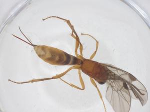  ( - CBG-B12208-D07)  @11 [ ] CreativeCommons - Attribution Share - Alike (2025) Centre for Biodiversity Genomics Centre for Biodiversity Genomics