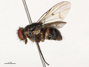  ( - CBG-B12984-A07)  @11 [ ] CreativeCommons - Attribution Share - Alike (2025) CBG Photography Group Centre for Biodiversity Genomics