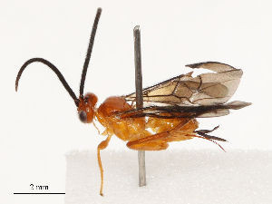  ( - CBG-B14649-C01)  @11 [ ] CreativeCommons - Attribution Share - Alike (2025) CBG Photography Group Centre for Biodiversity Genomics
