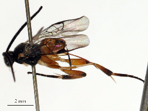  ( - CBG-B15171-F04)  @11 [ ] CreativeCommons - Attribution Share - Alike (2025) CBG Photography Group Centre for Biodiversity Genomics
