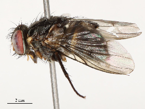  ( - CBG-B14791-A04)  @11 [ ] CreativeCommons - Attribution Share - Alike (2025) CBG Photography Group Centre for Biodiversity Genomics