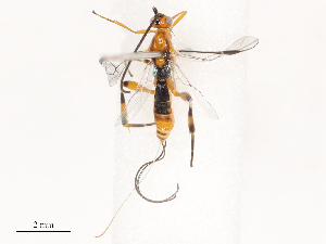 ( - CBG-B14792-C01)  @11 [ ] CreativeCommons - Attribution Share - Alike (2025) CBG Photography Group Centre for Biodiversity Genomics