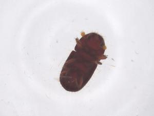  ( - CBG-B14864-A07)  @11 [ ] CreativeCommons - Attribution Share - Alike (2025) Centre for Biodiversity Genomics Centre for Biodiversity Genomics