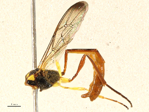  ( - CBG-A04545-E04)  @11 [ ] CreativeCommons - Attribution (2023) CBG Photography Group Centre for Biodiversity Genomics