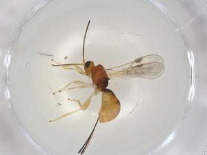  ( - CBG-A05793-B05)  @11 [ ] CreativeCommons - Attribution (2023) Centre for Biodiversity Genomics Centre for Biodiversity Genomics