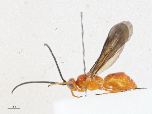  ( - CBG-A04502-D05)  @11 [ ] CreativeCommons - Attribution (2023) CBG Photography Group Centre for Biodiversity Genomics