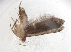  ( - CBG-A06713-B01)  @11 [ ] CreativeCommons - Attribution (2023) Centre for Biodiversity Genomics Centre for Biodiversity Genomics