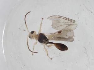  ( - CBG-A12326-B07)  @11 [ ] CreativeCommons - Attribution Share - Alike (2023) Centre for Biodiversity Genomics Centre for Biodiversity Genomics