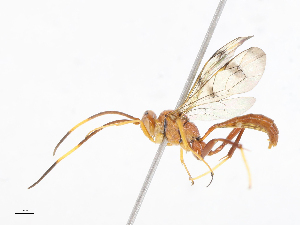  ( - CBG-A13223-H02)  @11 [ ] CreativeCommons - Attribution Share - Alike (2023) CBG Photography Group Centre for Biodiversity Genomics