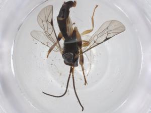  ( - CBG-A14398-C07)  @11 [ ] CreativeCommons - Attribution Share - Alike (2023) Centre for Biodiversity Genomics Centre for Biodiversity Genomics