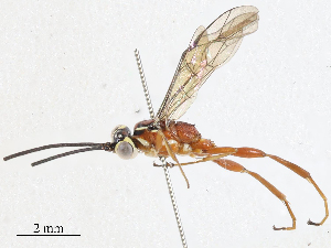 ( - CBG-A04569-B02)  @11 [ ] CreativeCommons - Attribution (2023) CBG Photography Group Centre for Biodiversity Genomics