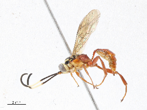  ( - CBG-A05406-B12)  @11 [ ] CreativeCommons - Attribution (2023) CBG Photography Group Centre for Biodiversity Genomics